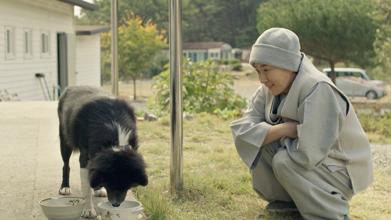 절해고도