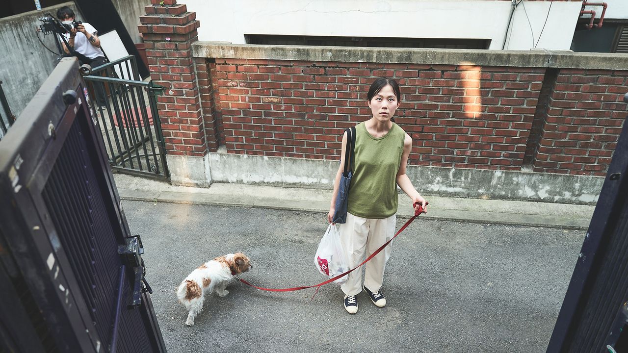 하나이야기