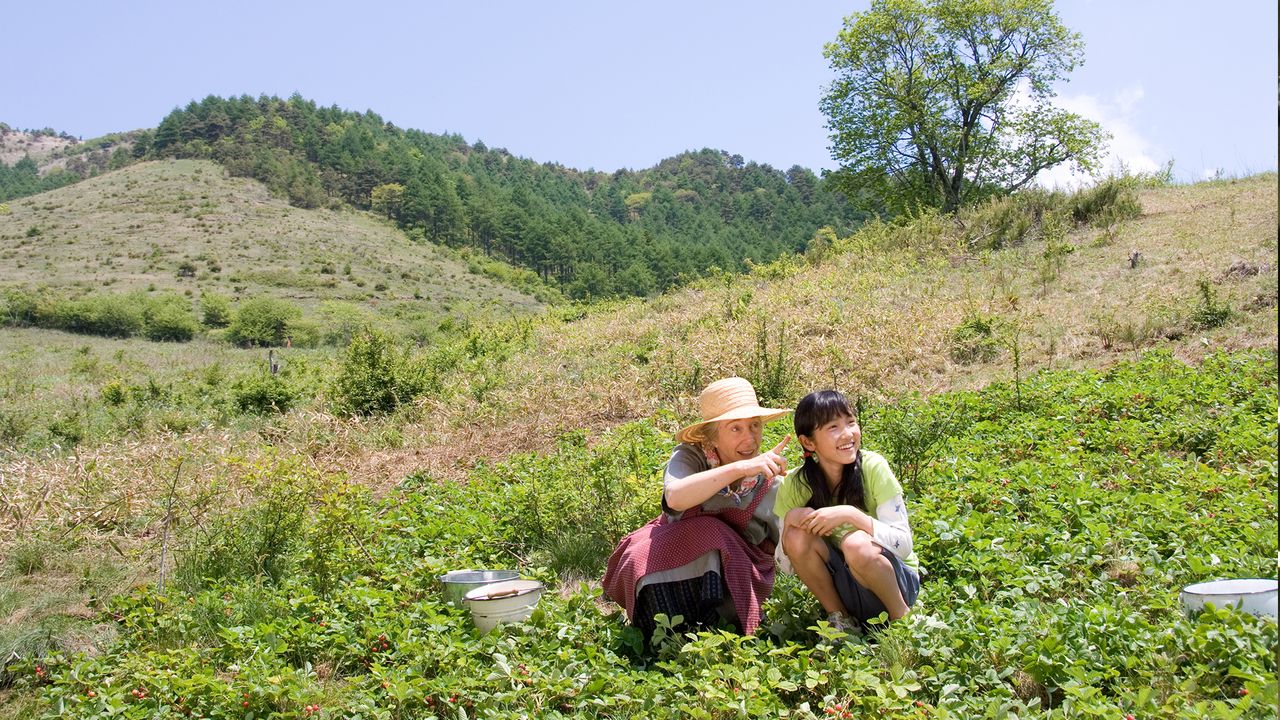 서쪽의 마녀가 죽었다