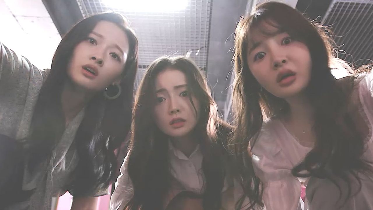 튜브펫 주식회사
