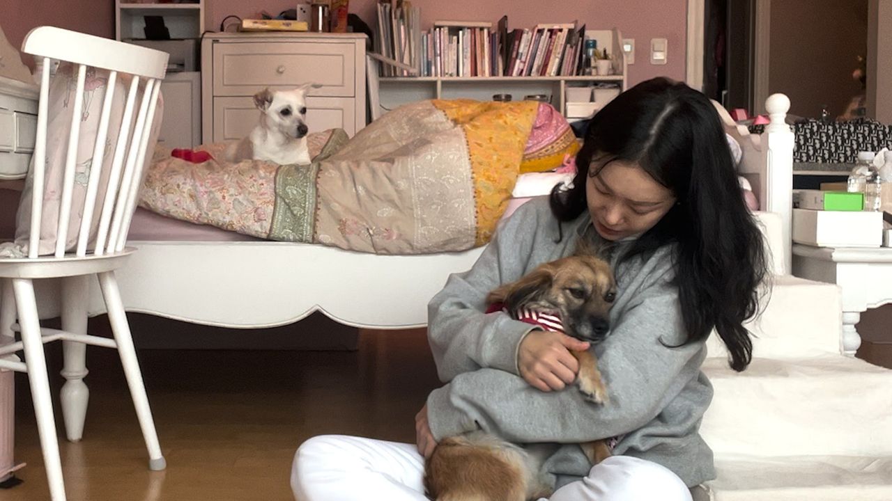 안녕 비비안