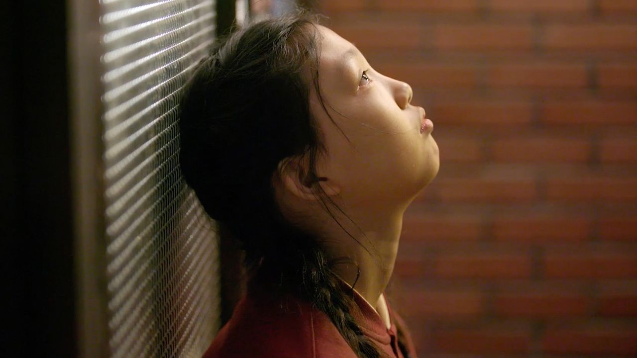 희수테리
