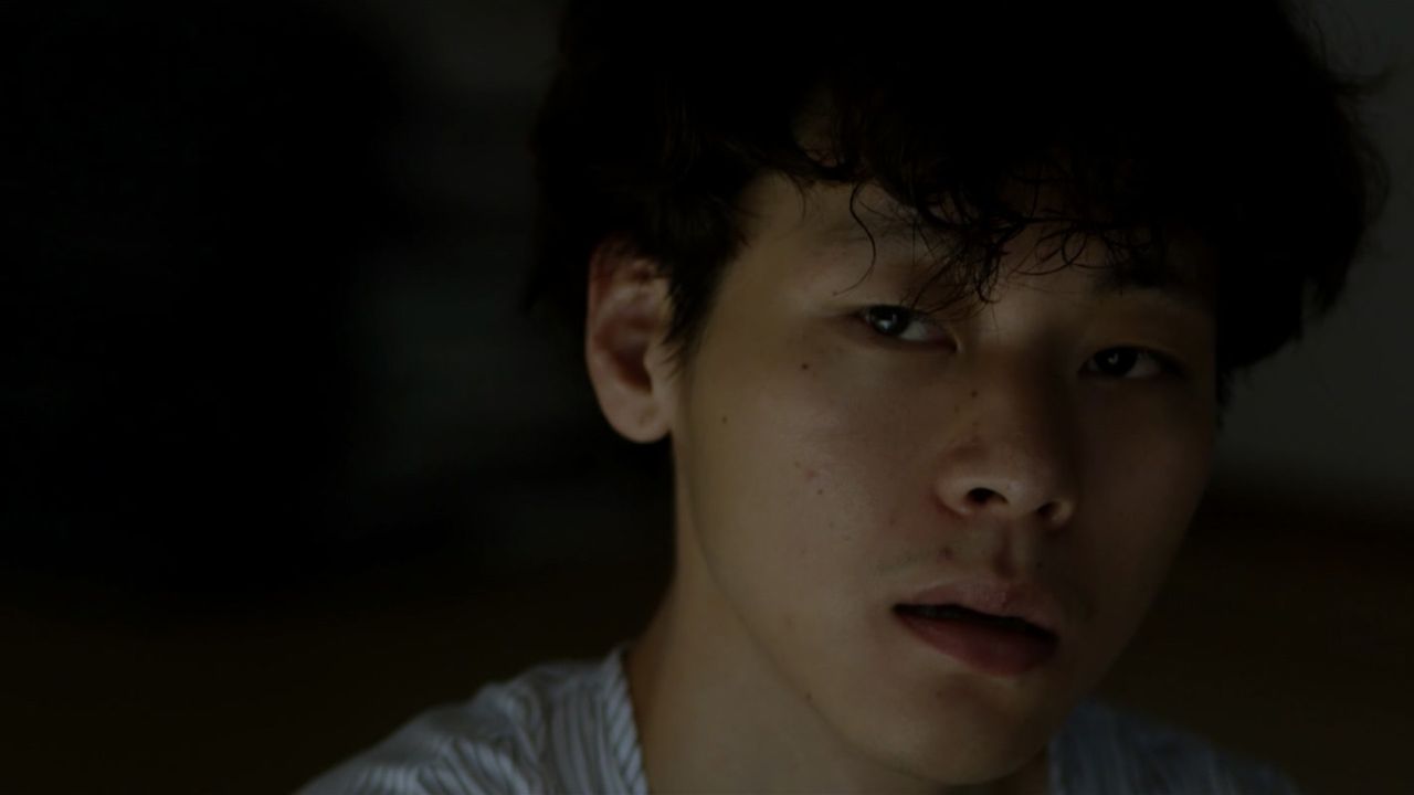 나비가 춤춘다