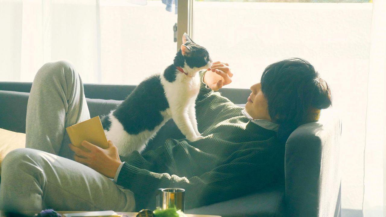 고양이 여행 리포트
