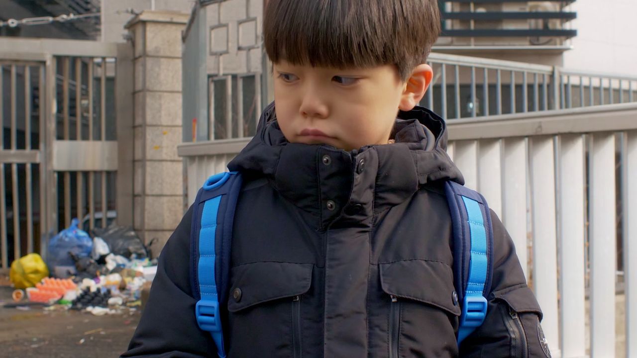 도화지