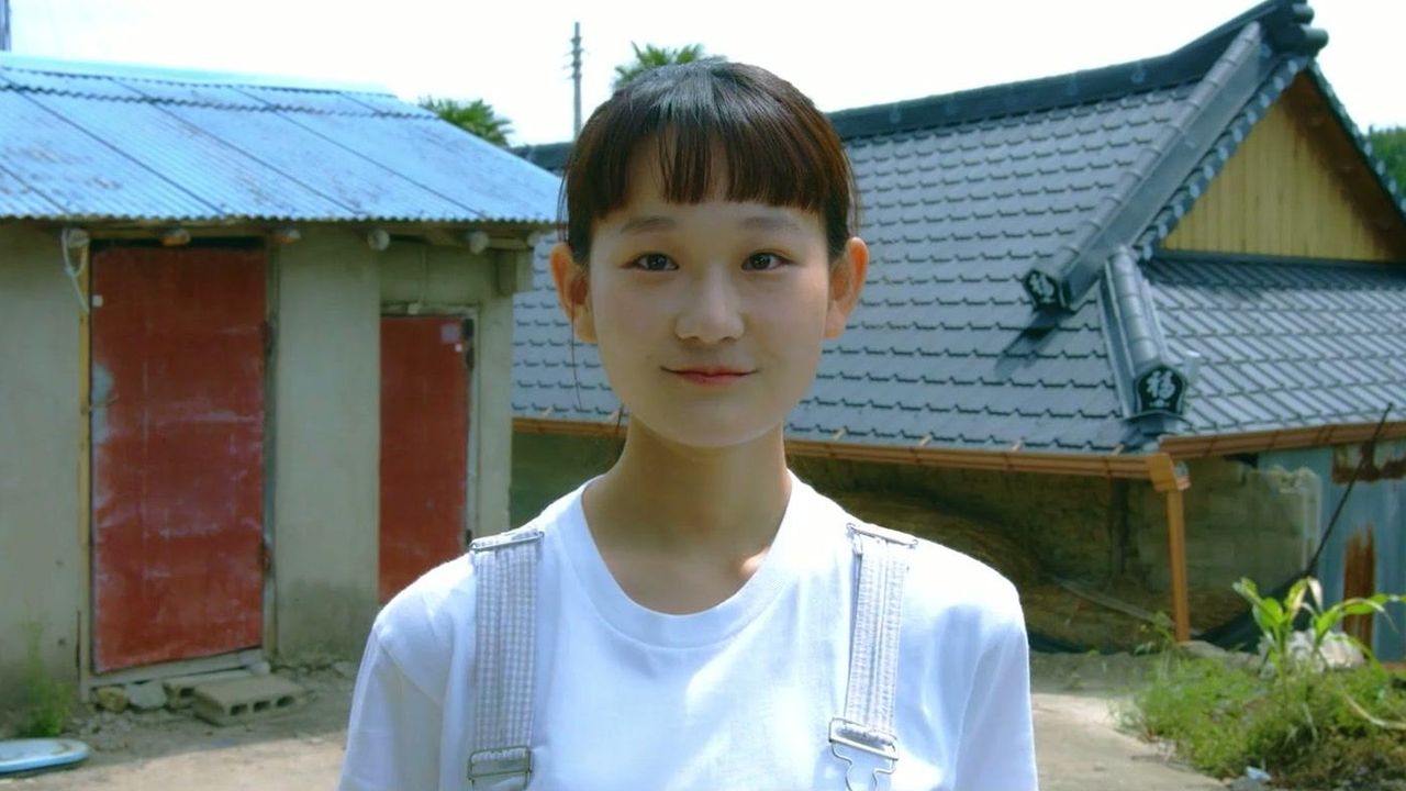 여름을 걷다