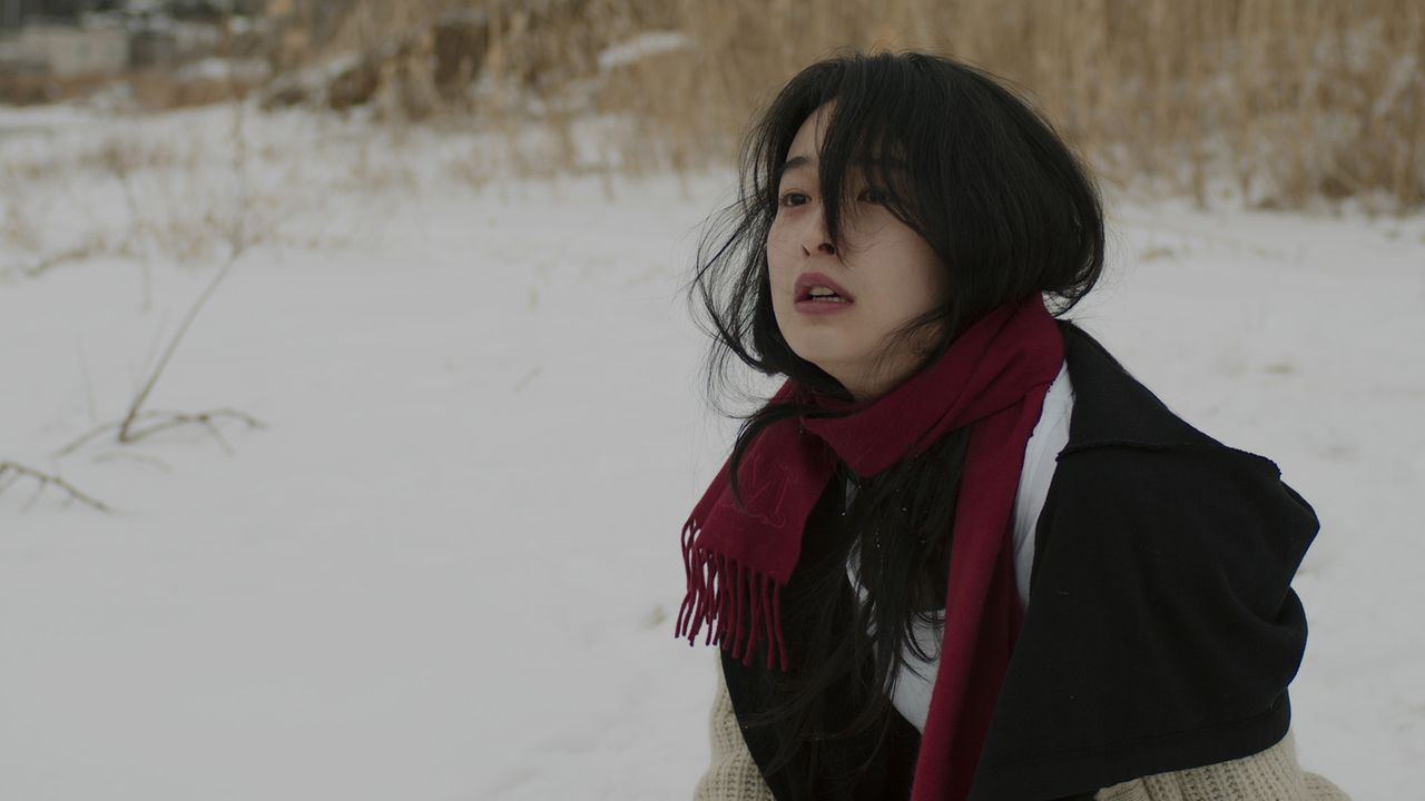 초콜릿