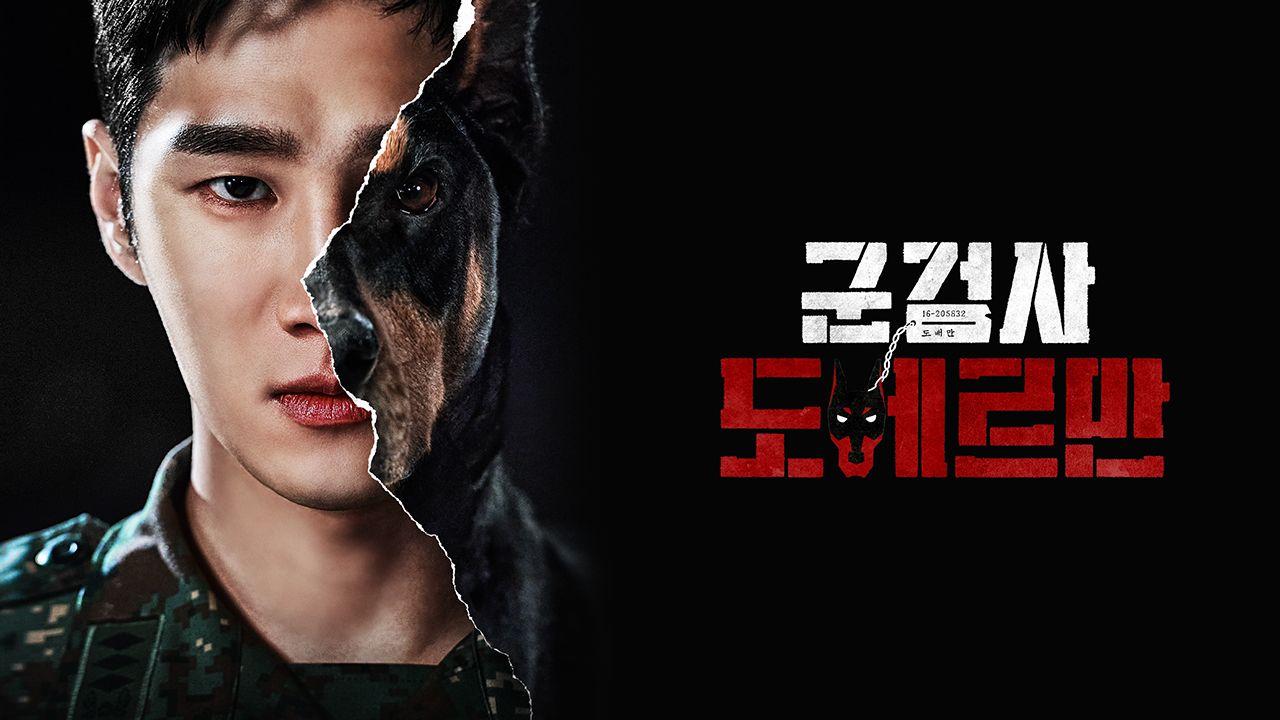 군검사 도베르만