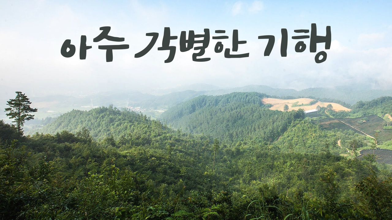 아주 각별한 기행 1화 | TVING