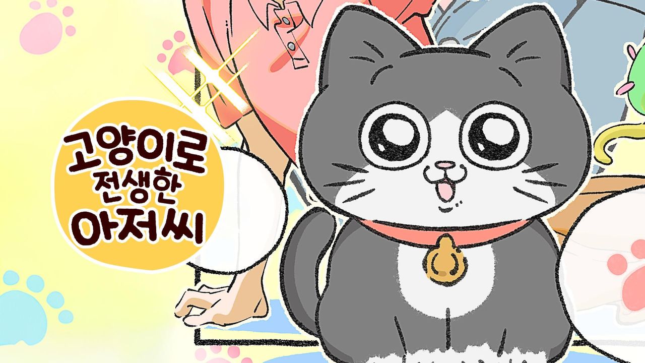 고양이로 전생한 아저씨