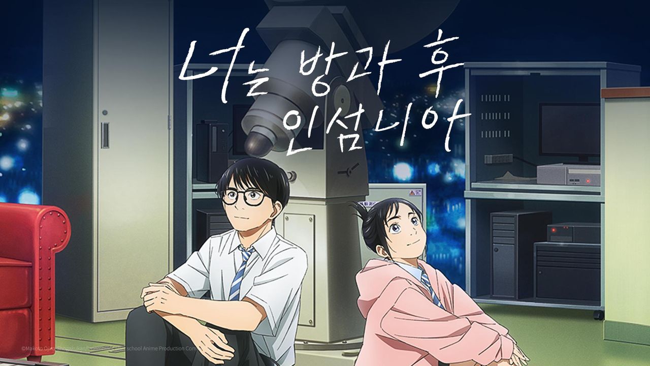 너는 방과 후 인섬니아