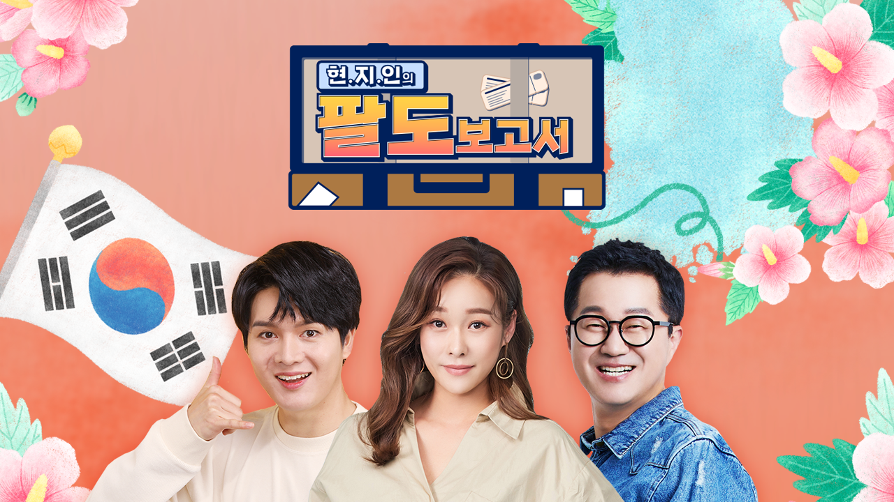 현지인의 팔도보고서