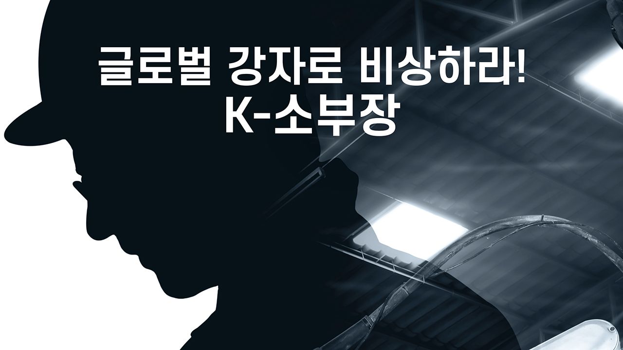 특별기획 글로벌 강자로 비상하라! K-소부장