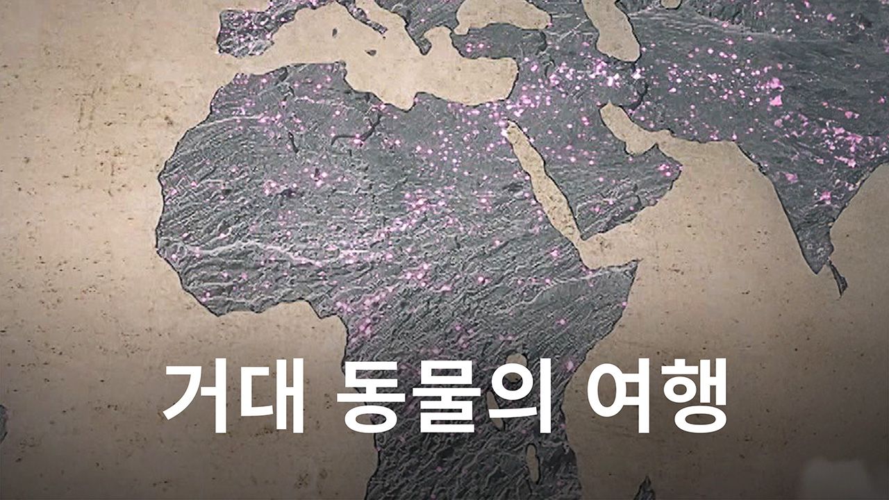 거대 동물의 여행