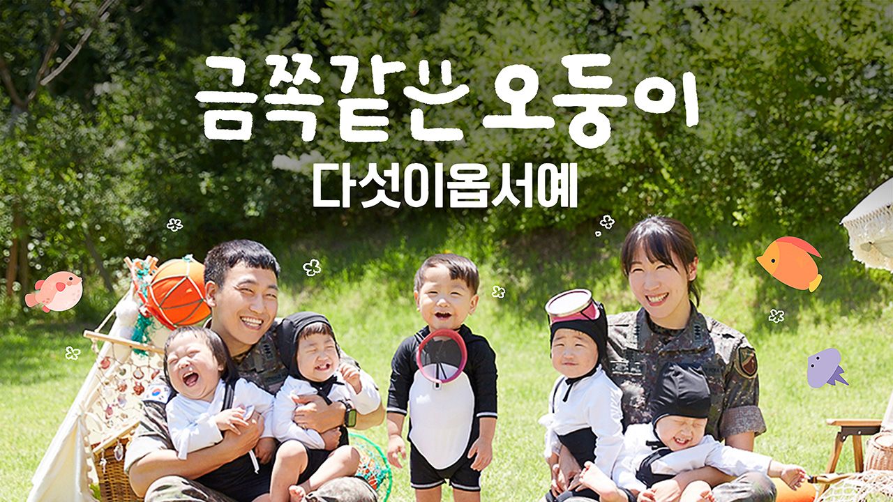 채널A 프라임 다큐 금쪽같은 오둥이 다섯이옵서예