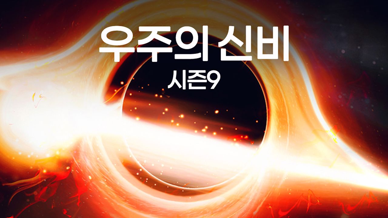 우주의 신비 시즌9