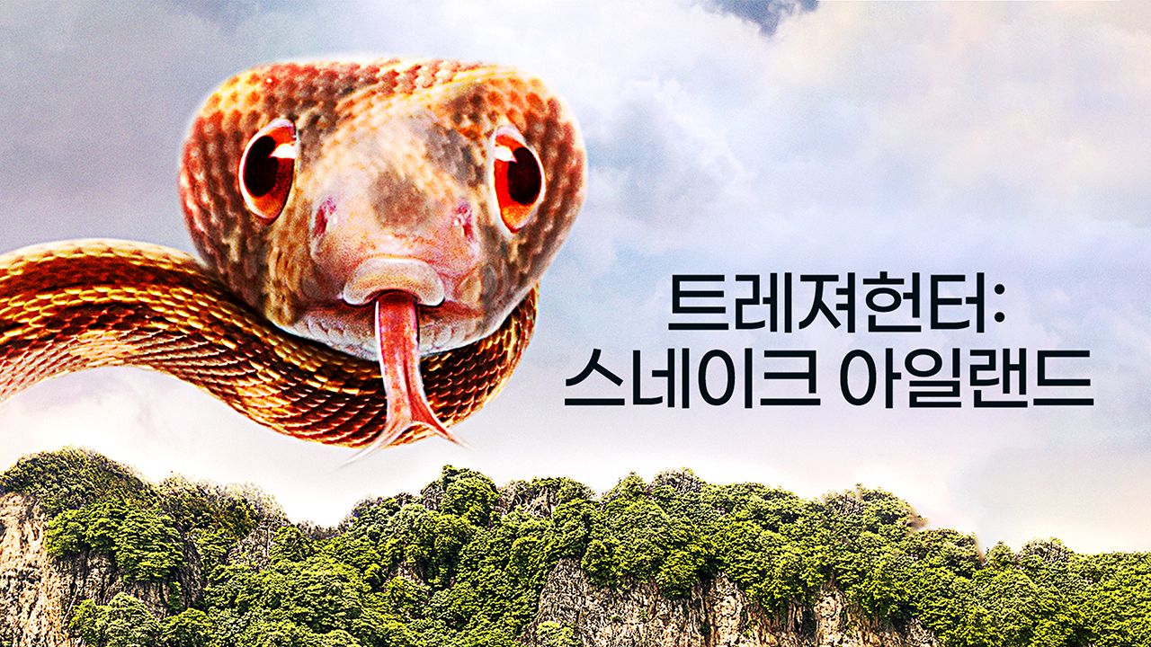 트레져헌터 : 스네이크 아일랜드
