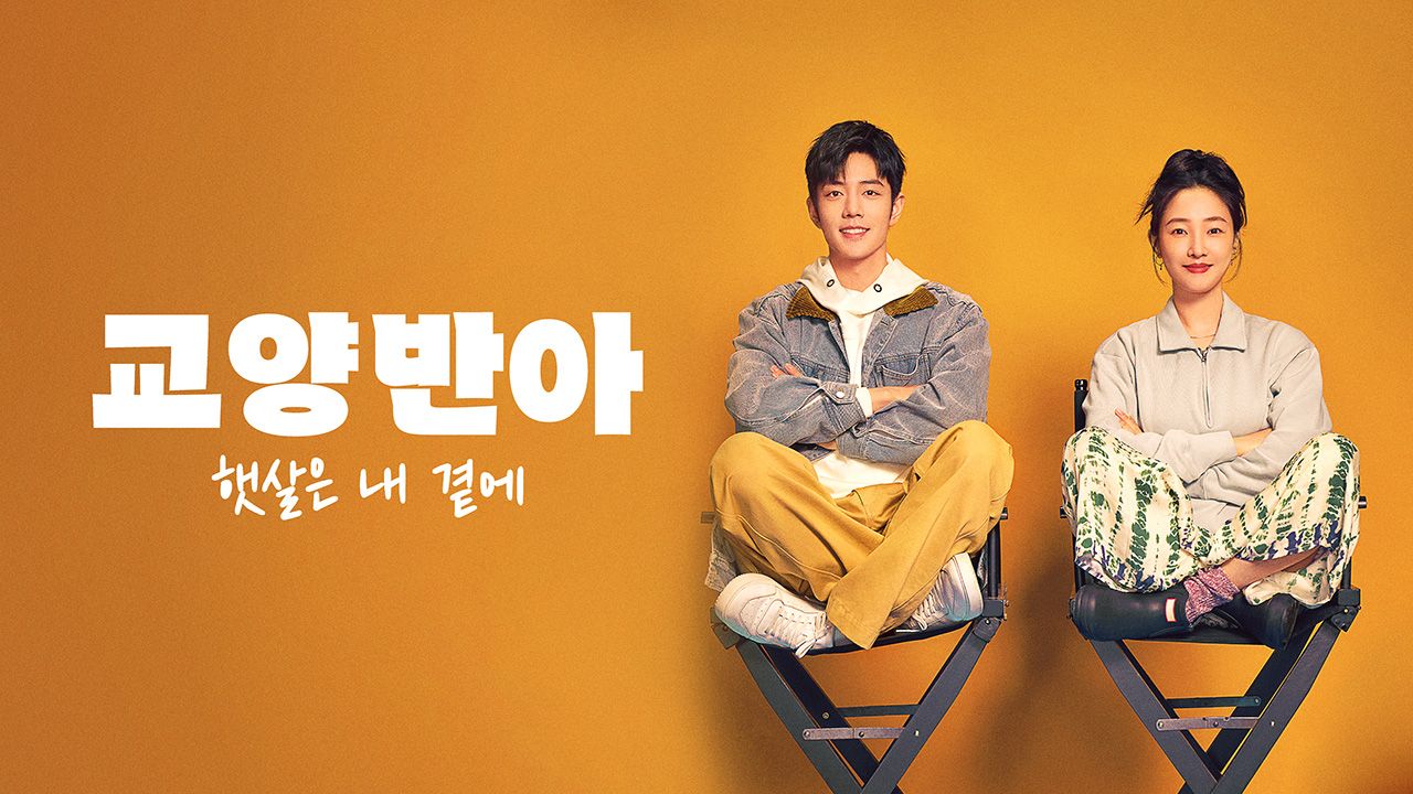 교양반아 : 햇살은 내 곁에