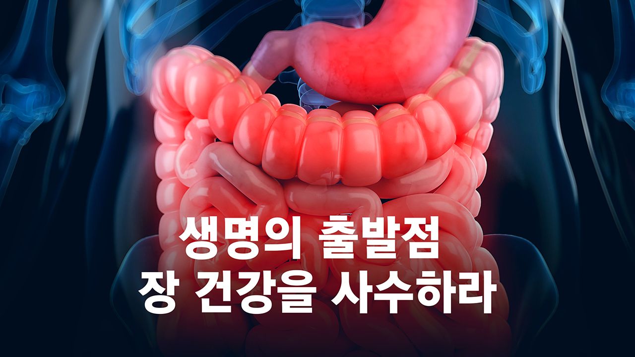 특별기획 생명의 출발점, 장건강을 사수하라