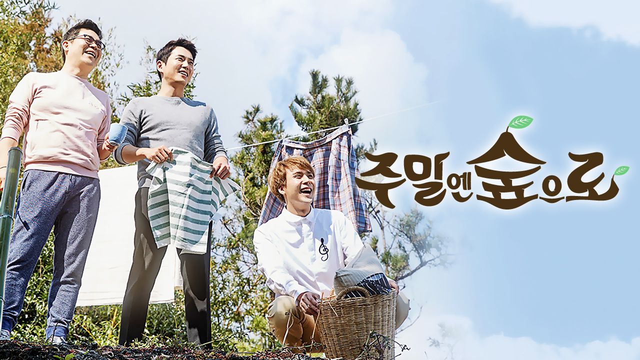 주말엔 숲으로