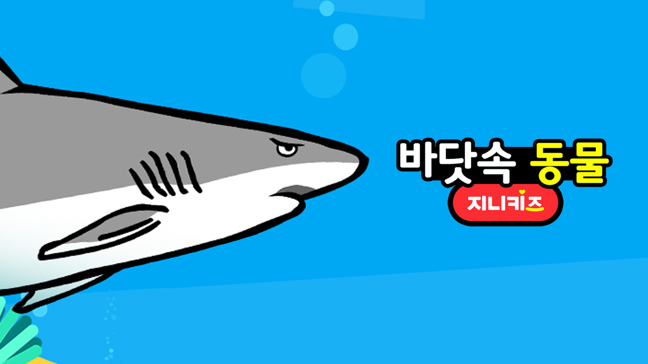 바닷속 동물