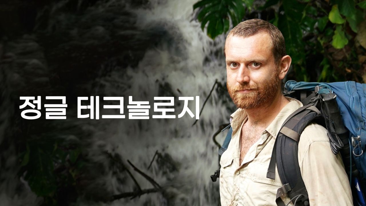 정글테크놀로지