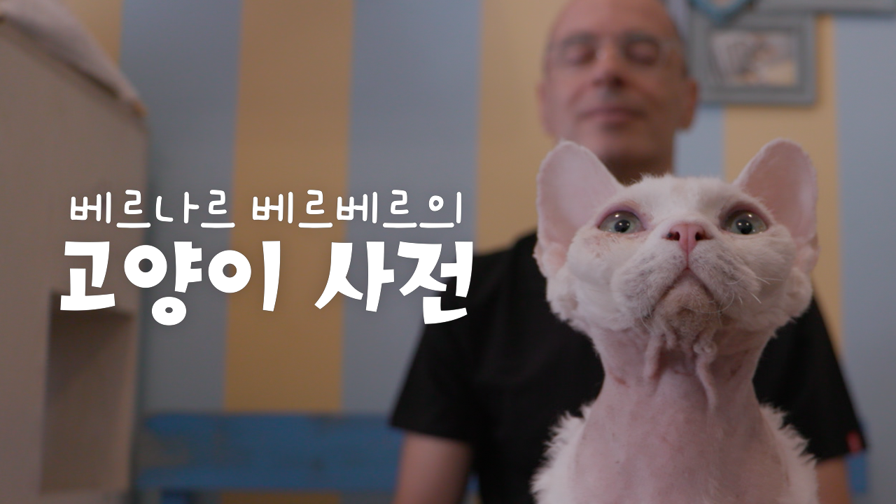 베르나르 베르베르의 고양이 사전