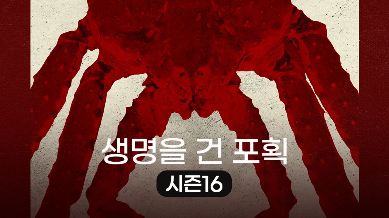 생명을 건 포획 시즌16