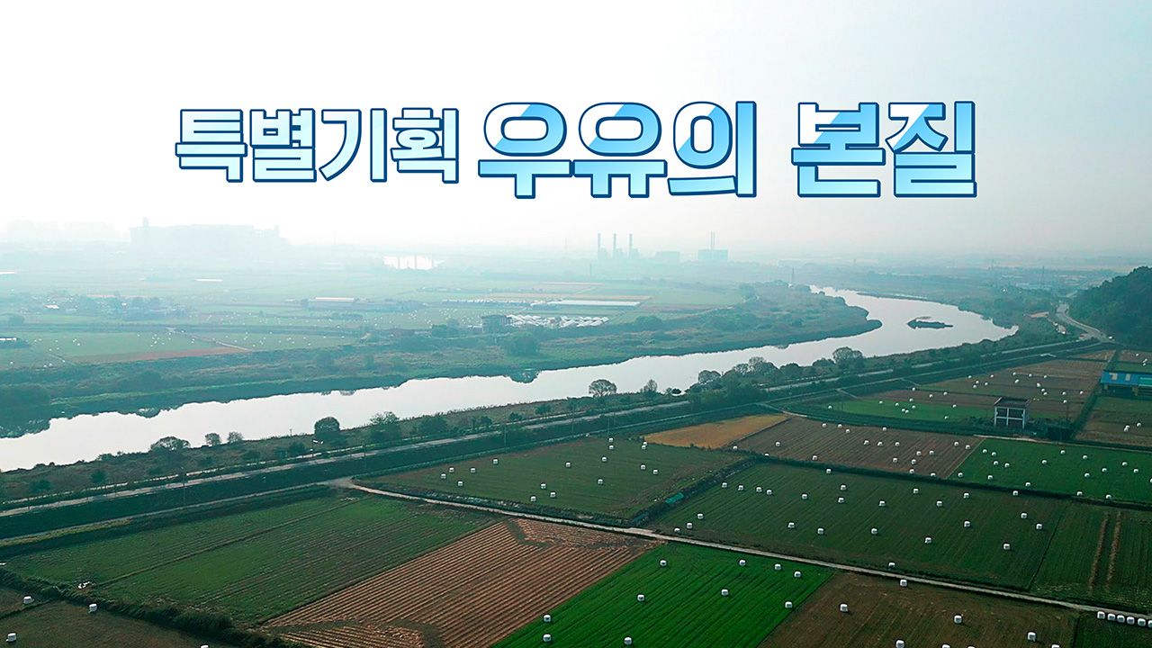 특별기획 우유의 본질