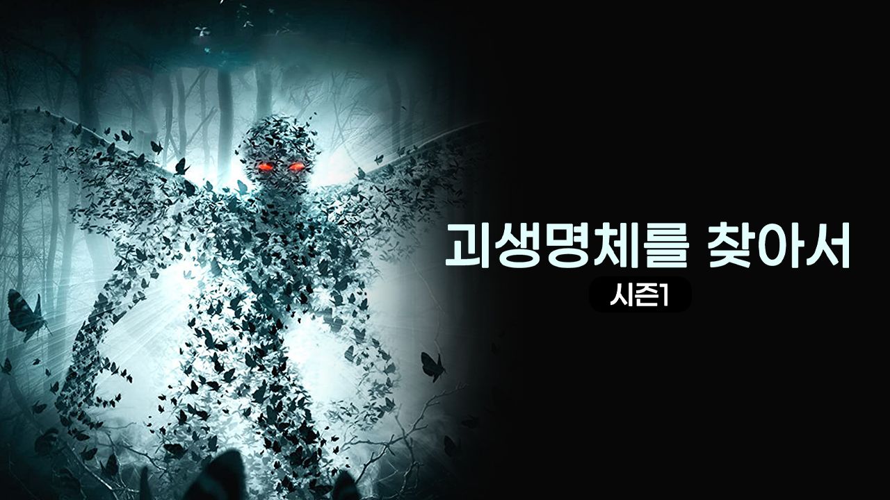 괴생명체를 찾아서