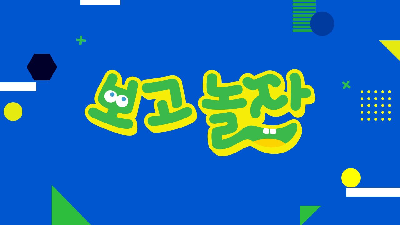 보고 놀자