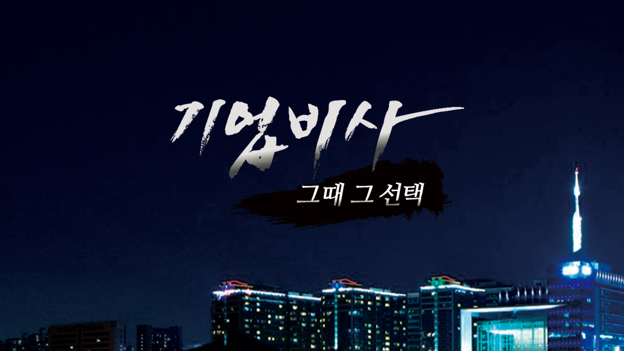 기업비사