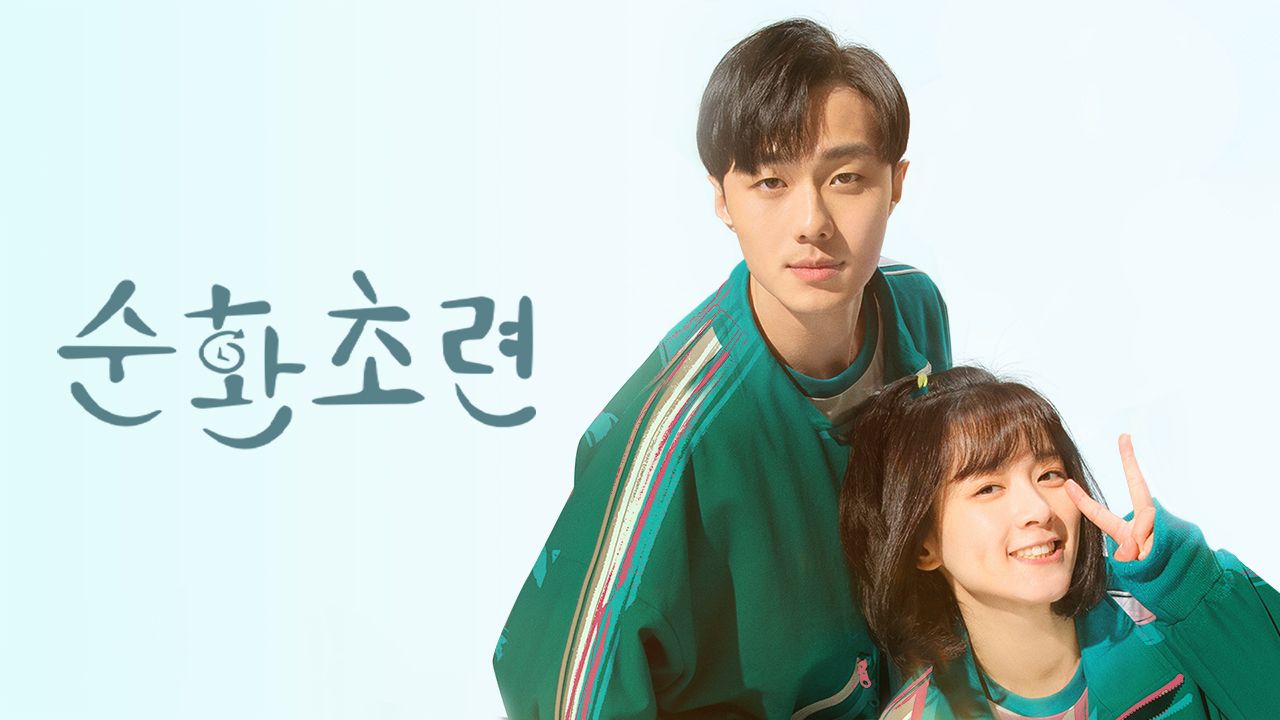 순환초련
