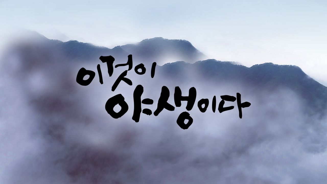이것이 야생이다 시즌1