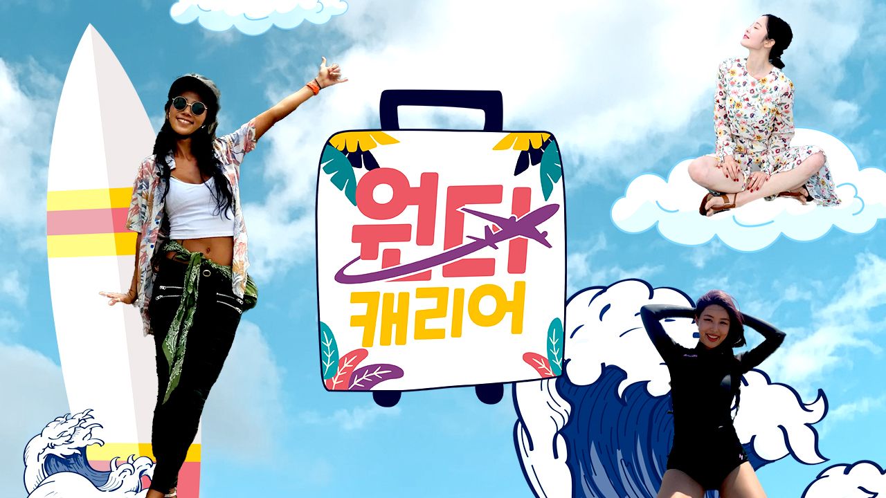 원더캐리어