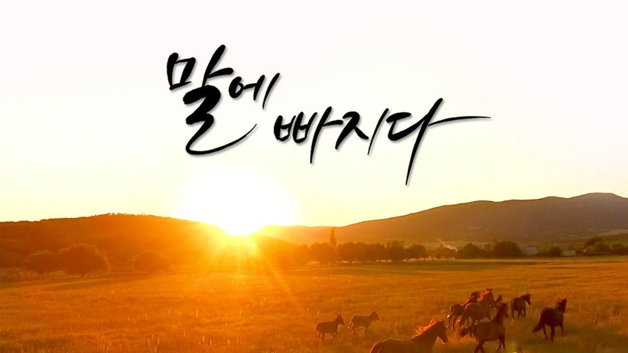 특집 다큐 - 말에 빠지다