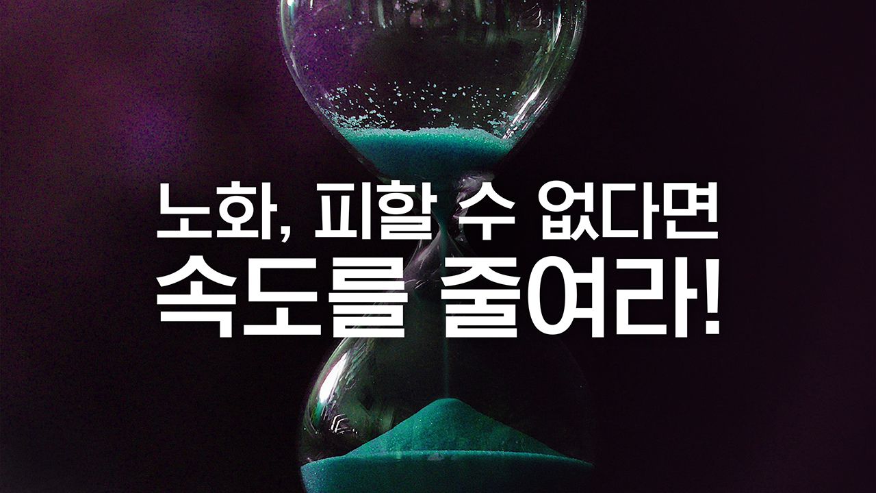 특별기획 노화, 피할 수 없다면 속도를 줄여라!