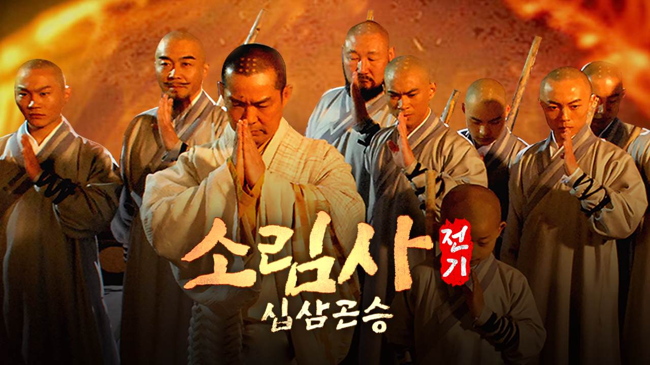 소림사전기 : 십삼곤승