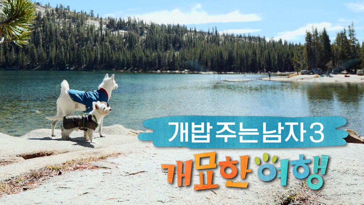 개밥 주는 남자 시즌3