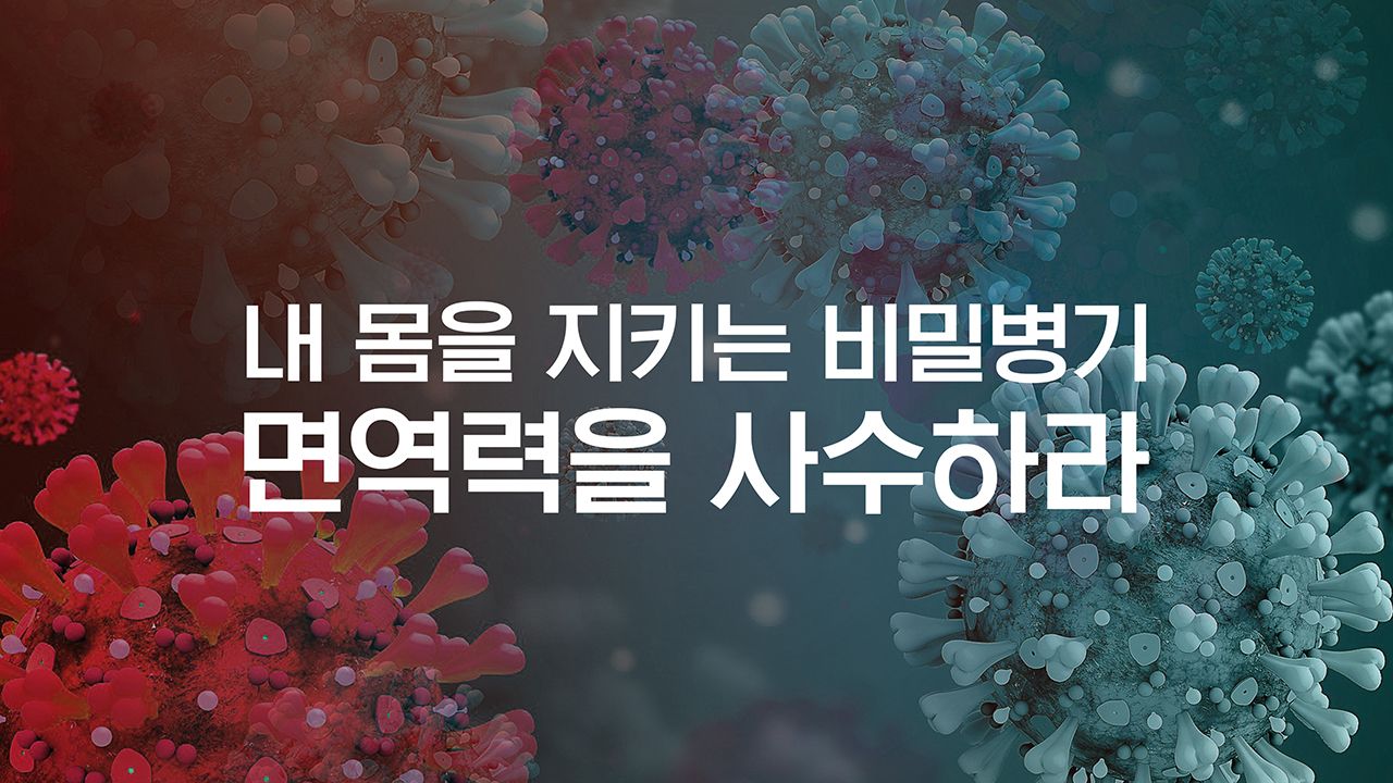 특별기획 내 몸을 지키는 비밀병기, 면역력을 사수하라