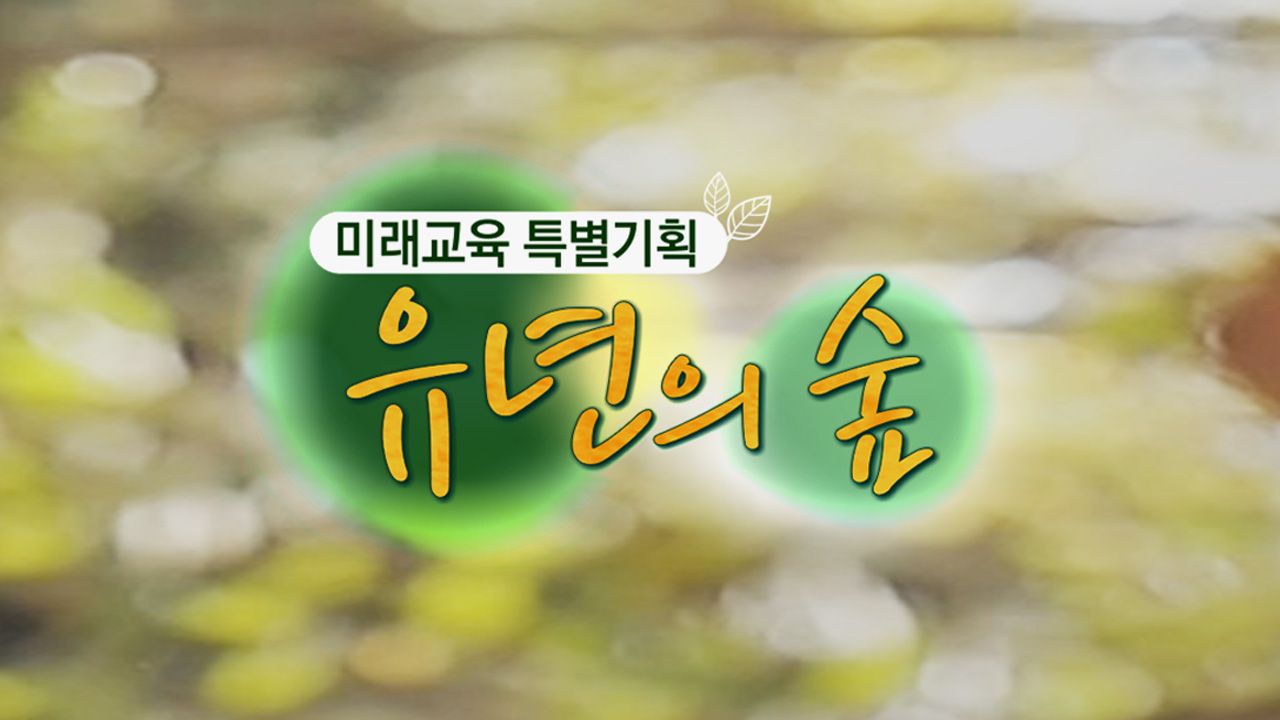 미래교육 특별기획 유년의 숲