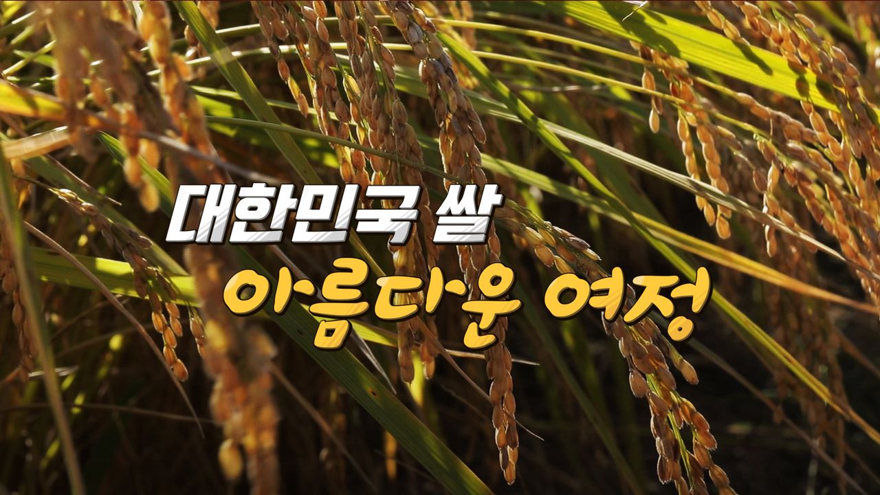 대한민국 쌀, 아름다운 여정