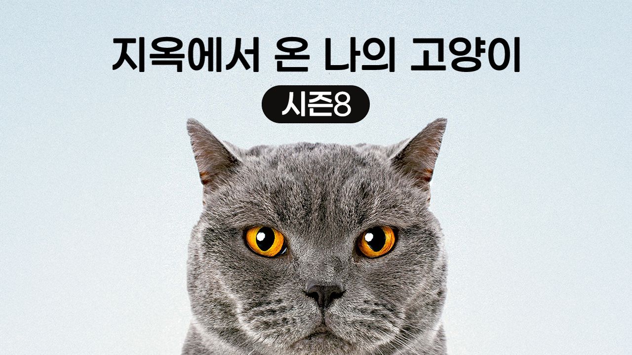 지옥에서 온 나의 고양이 시즌8