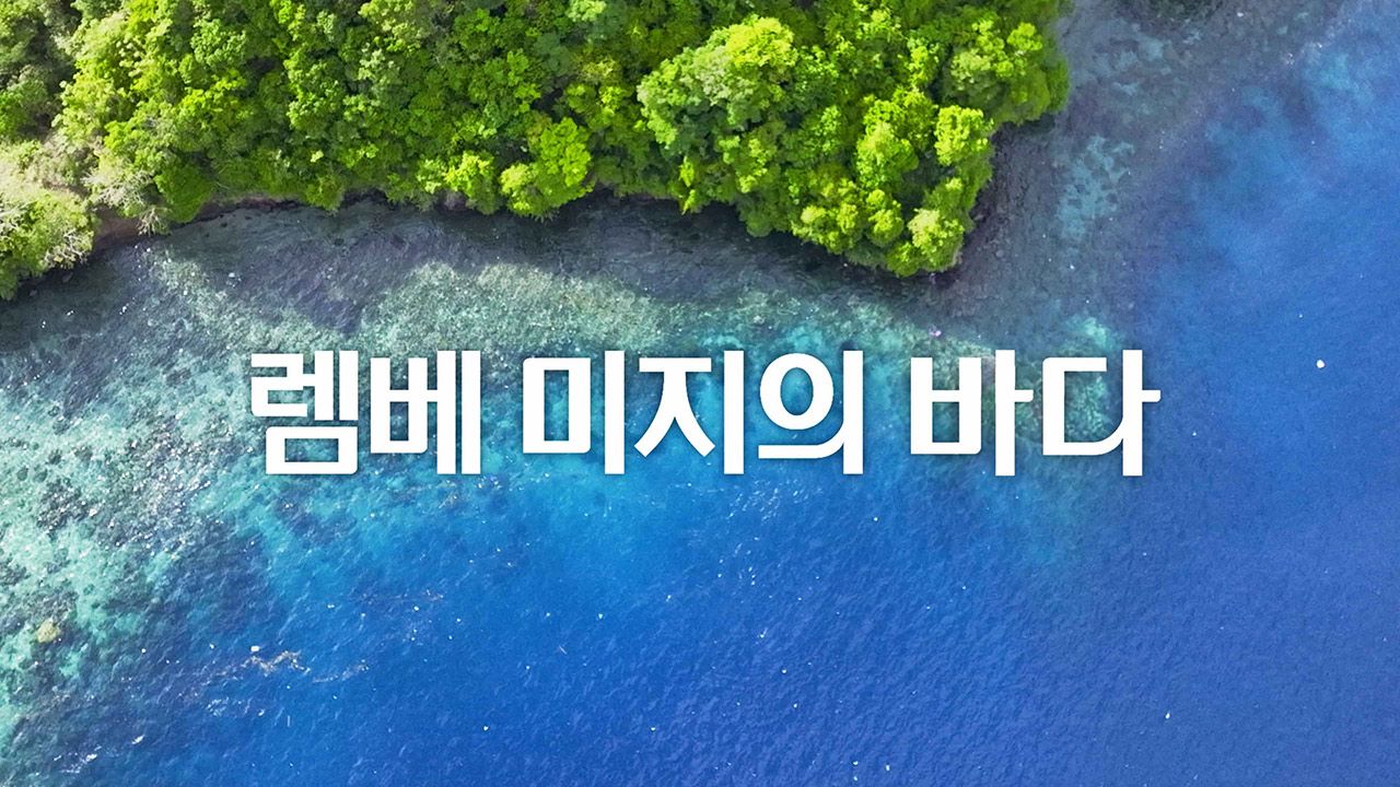 렘베 : 미지의 바다