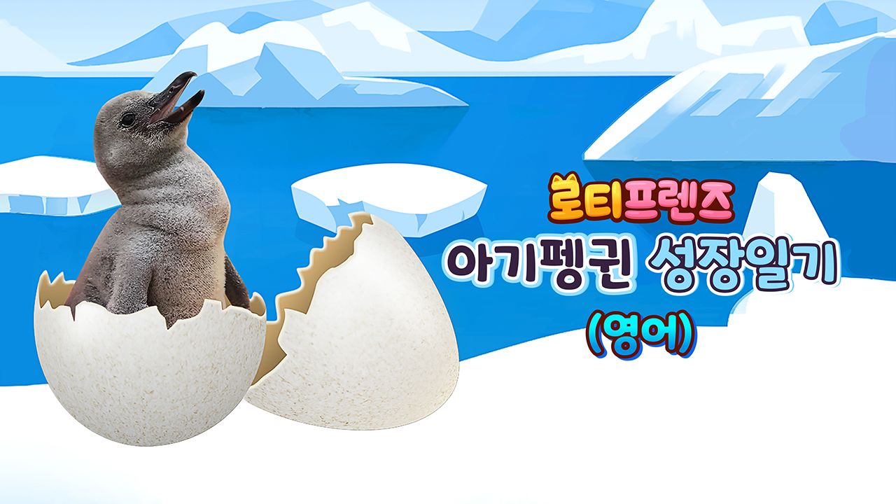 로티프렌즈 아기펭귄 성장일기 (영어)