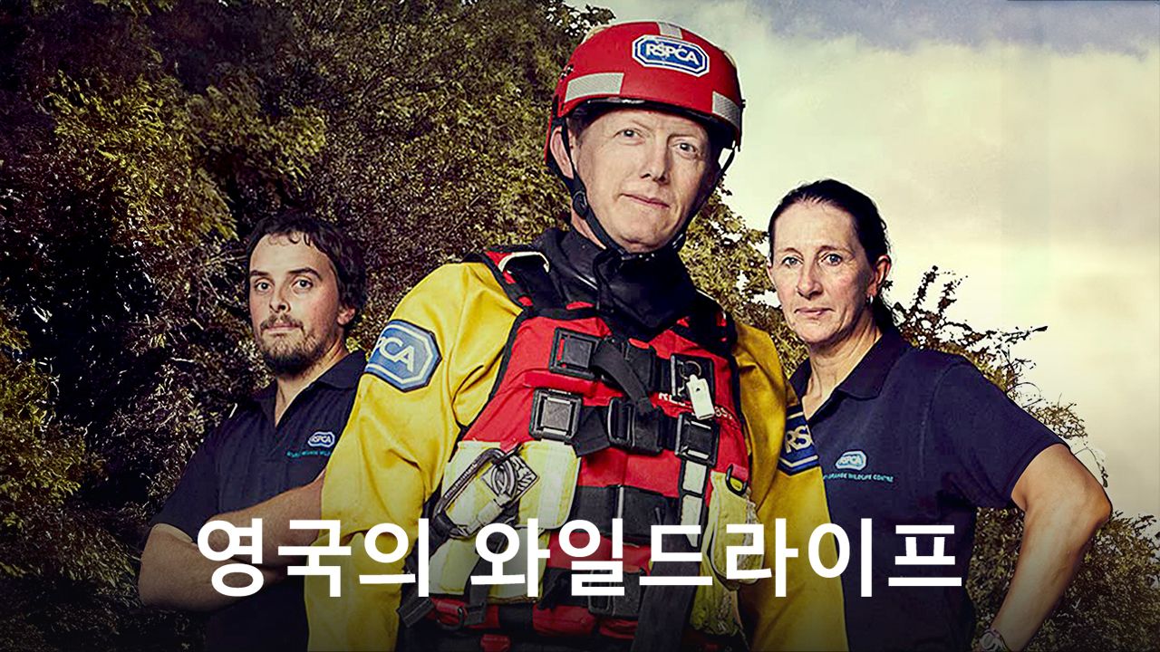 영국의 와일드라이프