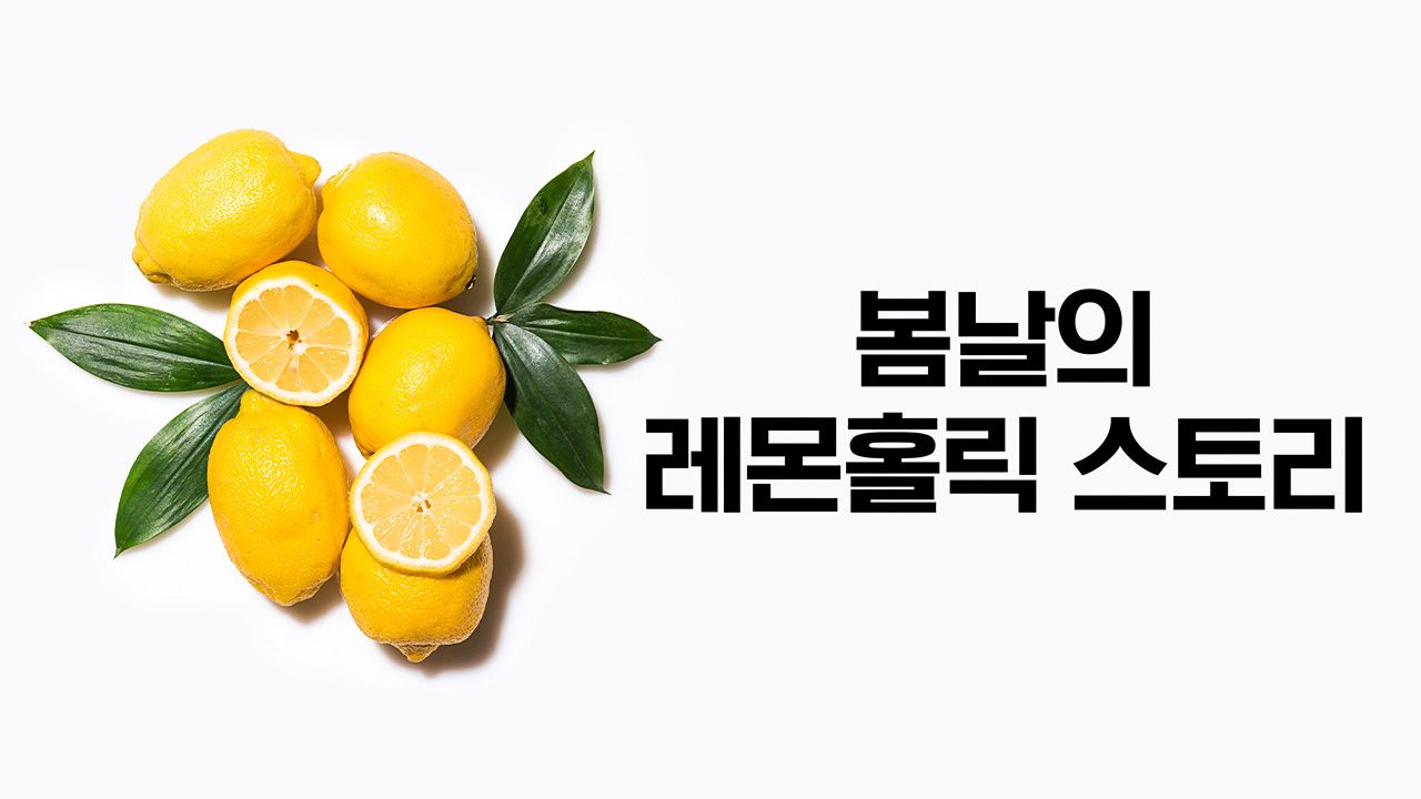 특별기획 봄날의 레몬홀릭 스토리