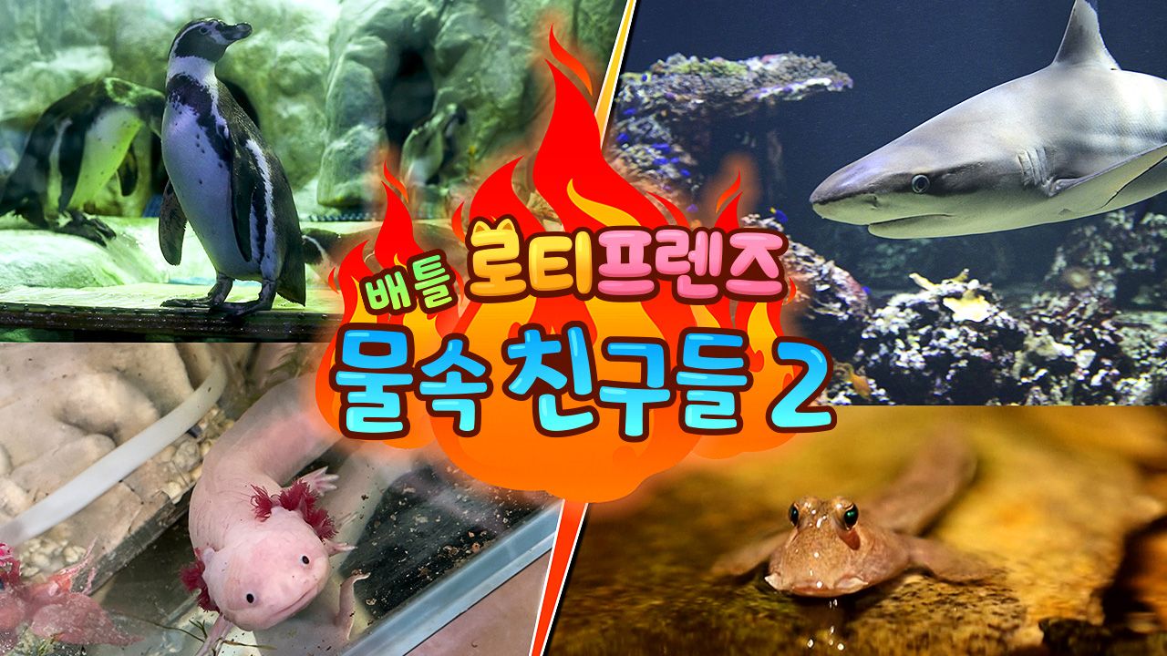 로티프렌즈 배틀 : 물 속 친구들 2