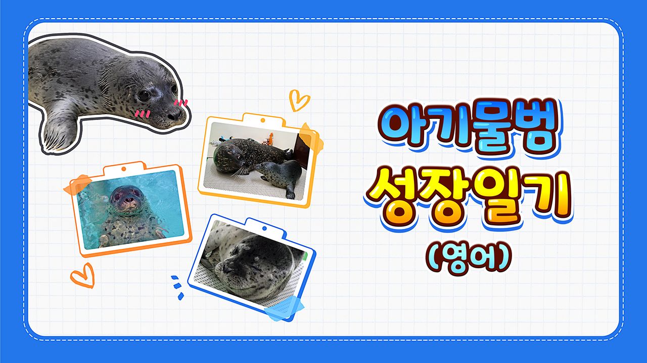 아기물범 성장일기 (영어)