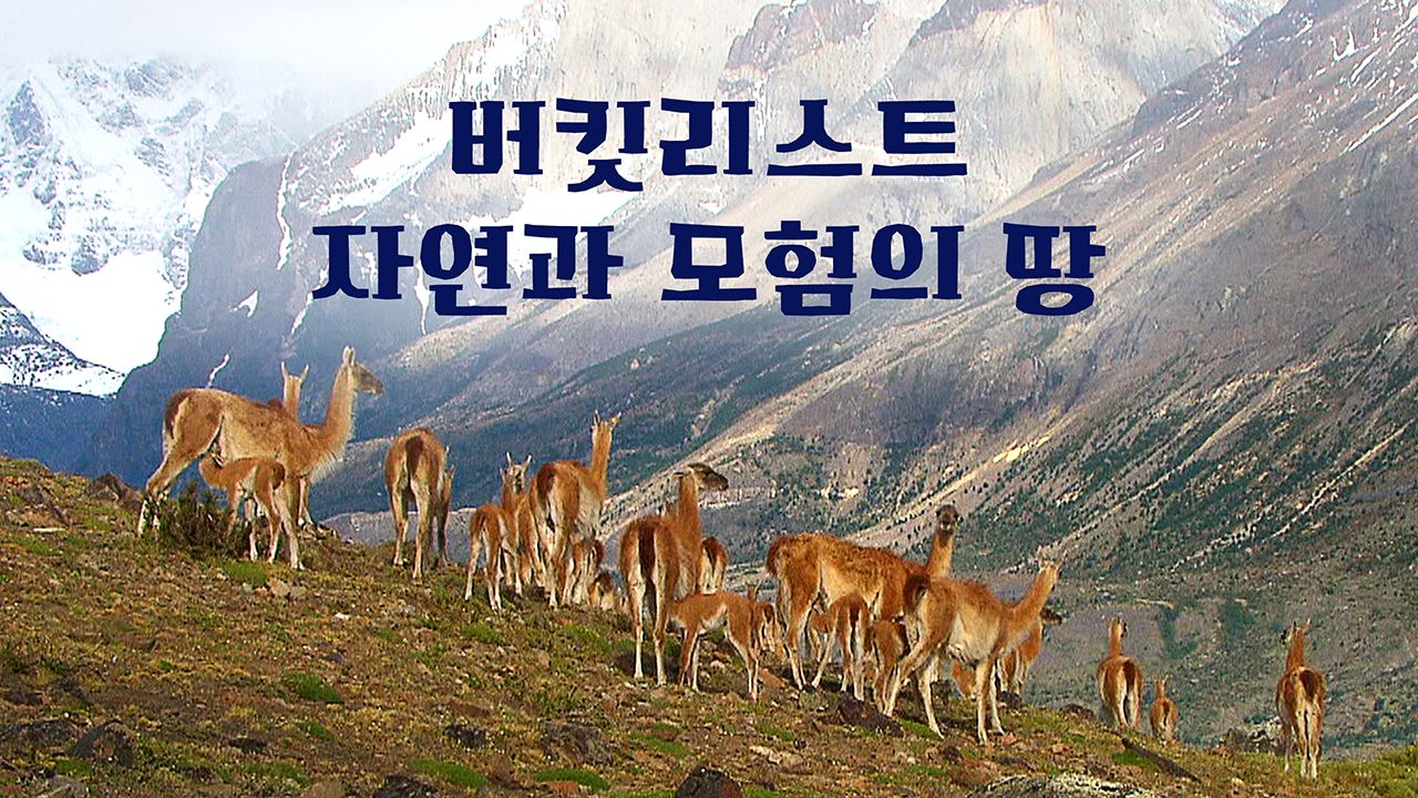 버킷리스트: 자연과 모험의 땅